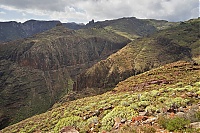 La_Gomera_298_ji.jpg