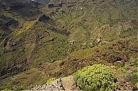 La_Gomera_338_ji.jpg