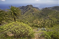 La_Gomera_364_ji.jpg