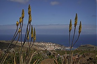 La_Gomera_378_ji.jpg