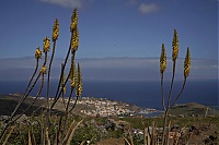 La_Gomera_379_ji.jpg