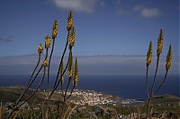 La_Gomera_380_ji.jpg