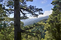 Dateiname=2016_03_La_Palma_012_ji.jpg
Dateigröße=855KB
Abmessungen: 1600x1068
hinzugefügt am: 25. Januar 2020 2016_03_La_Palma_012_ji.jpg