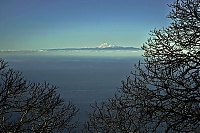 2016_03_La_Palma_018_ji.jpg