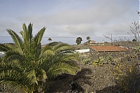 2016_03_La_Palma_042_ji.jpg