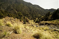 2016_03_La_Palma_047_ji.jpg