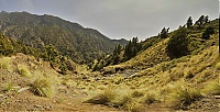 2016_03_La_Palma_048-051_ji.jpg