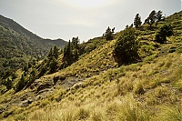 2016_03_La_Palma_054_ji.jpg