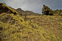 2016_03_La_Palma_055_ji.jpg