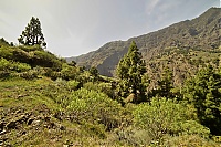 2016_03_La_Palma_056_ji.jpg