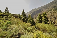 Dateiname=2016_03_La_Palma_057_ji.jpg
Dateigröße=888KB
Abmessungen: 1600x1068
hinzugefügt am: 25. Januar 2020 2016_03_La_Palma_057_ji.jpg