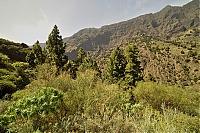 Dateiname=2016_03_La_Palma_059_ji.jpg
Dateigröße=936KB
Abmessungen: 1600x1068
hinzugefügt am: 25. Januar 2020 2016_03_La_Palma_059_ji.jpg