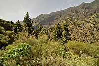 2016_03_La_Palma_059_ji.jpg