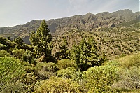 2016_03_La_Palma_060_ji.jpg