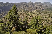 2016_03_La_Palma_062_ji.jpg