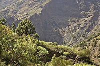 2016_03_La_Palma_063_ji.jpg