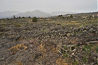 2016_03_La_Palma_068_ji.jpg