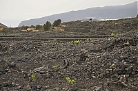 Dateiname=2016_03_La_Palma_071_ji.jpg
Dateigröße=791KB
Abmessungen: 1600x1068
hinzugefügt am: 25. Januar 2020 2016_03_La_Palma_071_ji.jpg