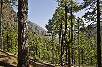 Dateiname=2016_03_La_Palma_085_ji.jpg
Dateigröße=1010KB
Abmessungen: 1600x1068
hinzugefügt am: 25. Januar 2020 2016_03_La_Palma_085_ji.jpg