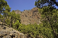 2016_03_La_Palma_087_ji.jpg