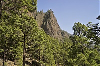 Dateiname=2016_03_La_Palma_088_ji.jpg
Dateigröße=937KB
Abmessungen: 1600x1068
hinzugefügt am: 25. Januar 2020 2016_03_La_Palma_088_ji.jpg