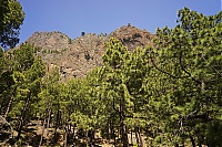 2016_03_La_Palma_089_ji.jpg