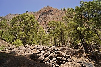 2016_03_La_Palma_093_ji.jpg