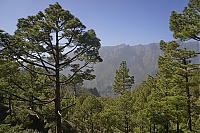 2016_03_La_Palma_096_ji.jpg