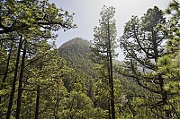 Dateiname=2016_03_La_Palma_104_ji.jpg
Dateigröße=1015KB
Abmessungen: 1600x1068
hinzugefügt am: 25. Januar 2020 2016_03_La_Palma_104_ji.jpg