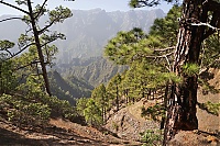 2016_03_La_Palma_110_ji.jpg