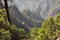 2016_03_La_Palma_111_ji.jpg