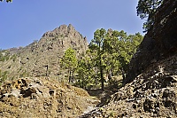 2016_03_La_Palma_128_ji.jpg