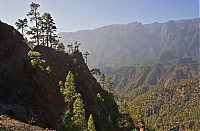 2016_03_La_Palma_130_ji.jpg