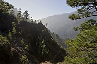 2016_03_La_Palma_131_ji.jpg