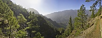 2016_03_La_Palma_132-137_ji.jpg