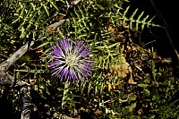 Dateiname=Crete_2016_001_ji.jpg
Dateigröße=533KB
Abmessungen: 1600x1068
hinzugefügt am: 25. Januar 2020 Crete_2016_001_ji.jpg