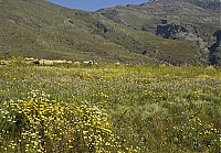 Crete_2016_016_ji.jpg