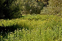 Dateiname=Crete_2016_025_ji.jpg
Dateigröße=1281KB
Abmessungen: 1600x1068
hinzugefügt am: 25. Januar 2020 Crete_2016_025_ji.jpg