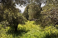 Crete_2016_026_ji.jpg