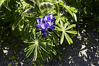 Crete_2016_027_ji.jpg