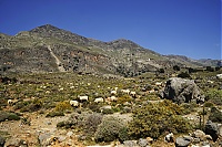 Crete_2016_040_ji.jpg