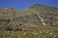 Dateiname=Crete_2016_044_ji.jpg
Dateigröße=930KB
Abmessungen: 1600x1068
hinzugefügt am: 25. Januar 2020 Crete_2016_044_ji.jpg