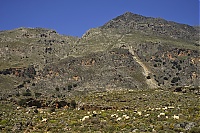 Crete_2016_044_ji.jpg