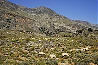 Crete_2016_045_ji.jpg