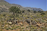 Crete_2016_047_ji.jpg