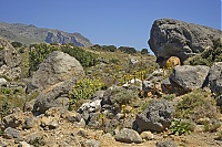 Crete_2016_049_ji.jpg