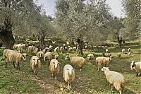 Crete_2016_113_ji.jpg