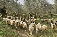 Crete_2016_114_ji.jpg