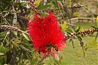 Dateiname=Crete_2016_138_ji.jpg
Dateigröße=486KB
Abmessungen: 1600x1068
hinzugefügt am: 25. Januar 2020 Crete_2016_138_ji.jpg