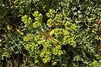 Dateiname=Crete_2016_157_ji.jpg
Dateigröße=612KB
Abmessungen: 1600x1068
hinzugefügt am: 25. Januar 2020 Crete_2016_157_ji.jpg